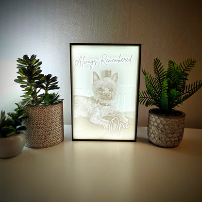 Pet Memorial Memory Box