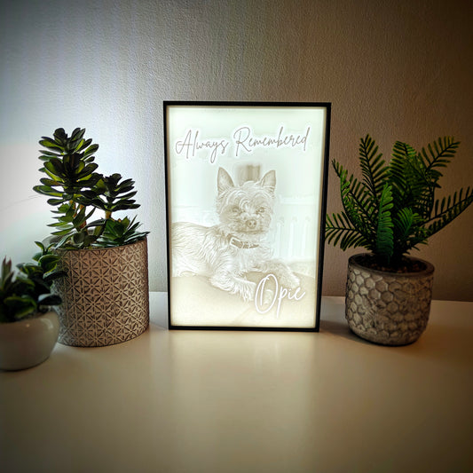 Pet Memorial Memory Box