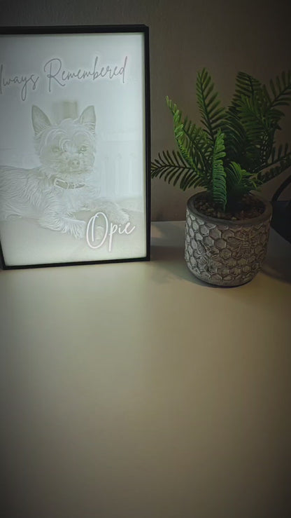 Pet Memorial Memory Box