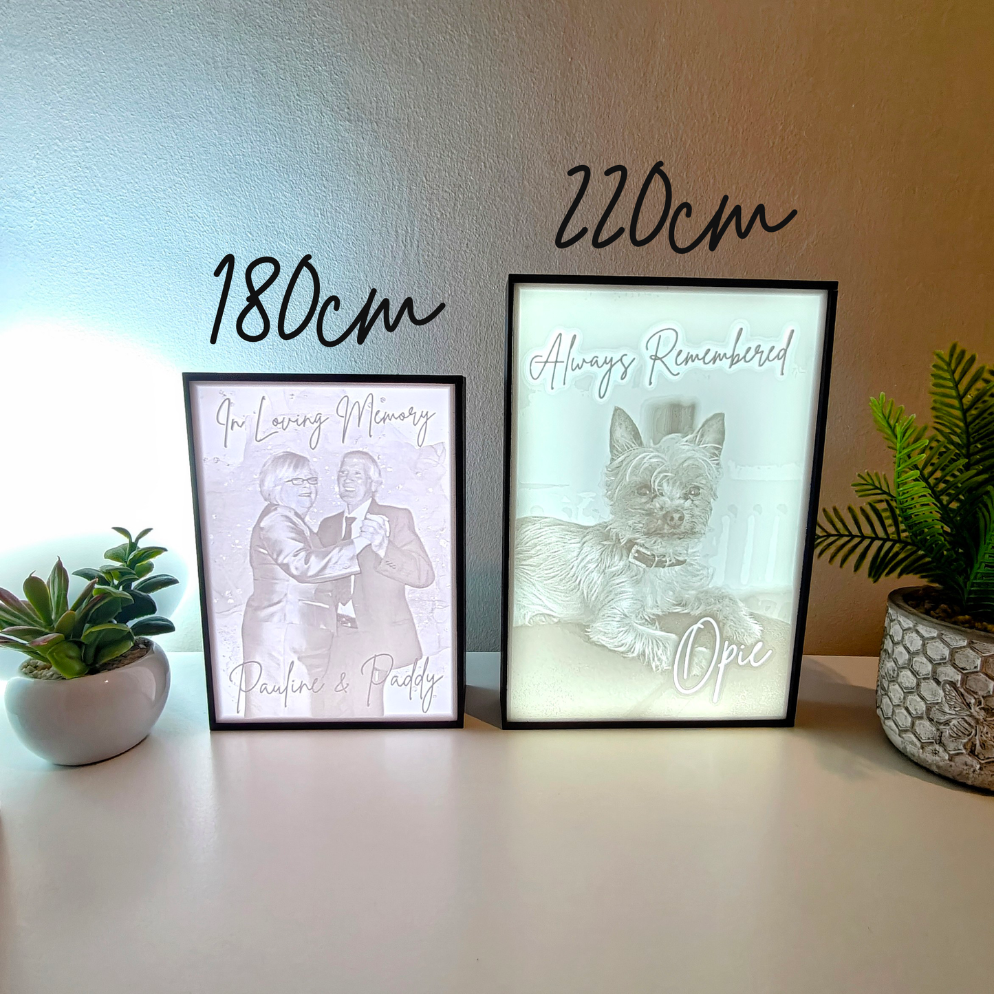 Pet Memorial Memory Box